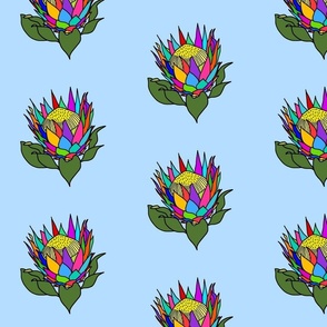 Rainbow Protea (stained glass window) - black lines on sky blue, medium 