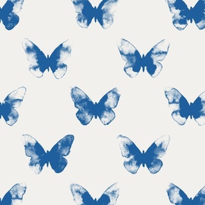 butterfly – blue