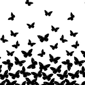 butterflies – black white