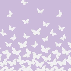 butterflies – lilac