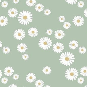 The new daisies minimalist white flowers spring blossom boho design white yellow on sage green