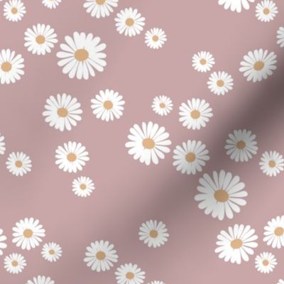 The new daisies minimalist white flowers spring blossom boho design white yellow on old rose