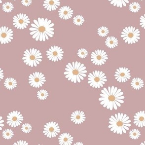 The new daisies minimalist white flowers spring blossom boho design white yellow on old rose