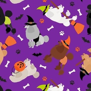 Poodle Halloween Purple Multi Coat Colors