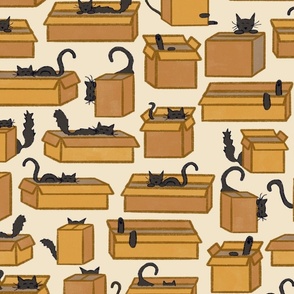 Black Cats Playing in Cardboard Boxes (Large Scale)