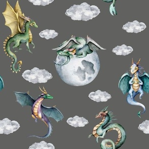 sky dragons grey