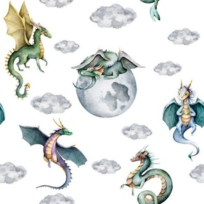 sky dragons