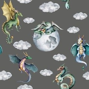 small scale sky dragons grey