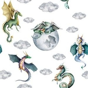 small scale sky dragons