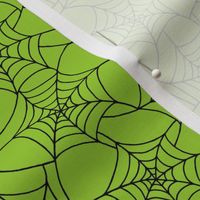 spiderweb lime