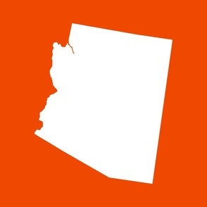 Arizona silhouette, 18x21" panel, white on burnt orange - ELH