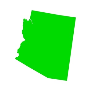 Arizona silhouette, 18x21" panel, lime green on white - ELH