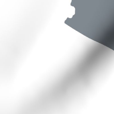 Arizona silhouette, 18x21" panel, gray on white - ELH