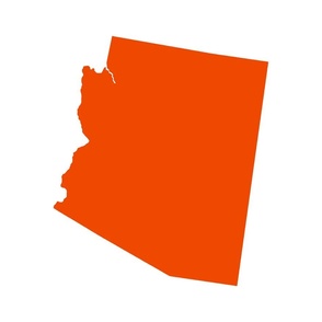 Arizona silhouette, 18x21" panel, burnt orange on white - ELH