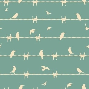birds on chaines