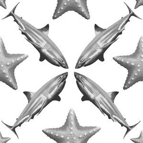 Sharks Starfish Ocean Life Nautical Coastal Black And White