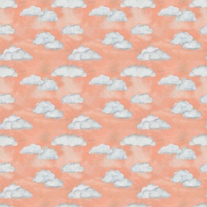 Cloudy Sky Peach Medium