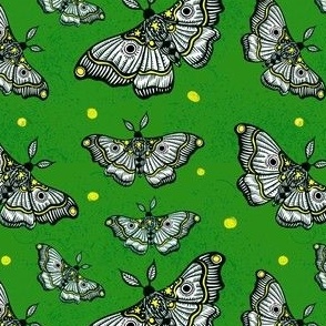 Moth - green