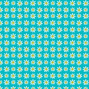 teal daisy