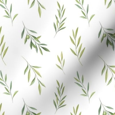 olive branches watercolor greenery pattern