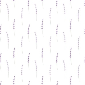 watercolor lavender pattern