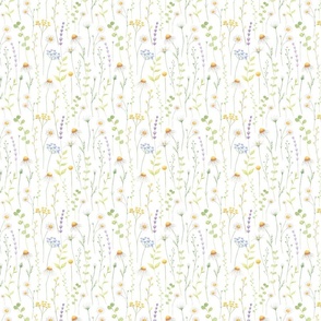 summer daisy watercolor pattern