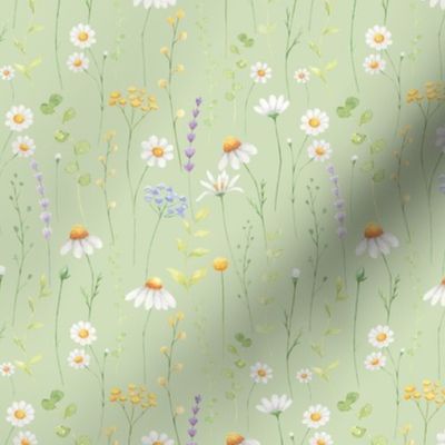 daisy watercolor meadow pattern on green background