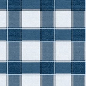 Rustic Gingham Check Iris