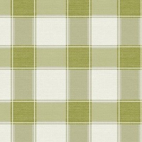 Rustic Gingham Check Olive