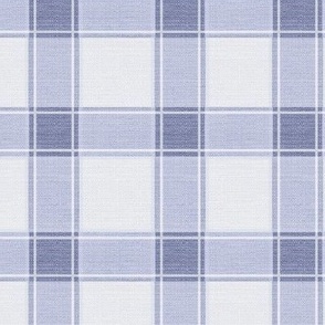 Rustic Gingham Check Periwinkle 2