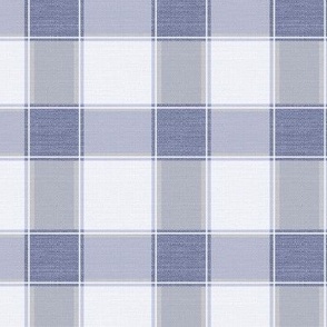 Rustic Gingham Check Periwinkle