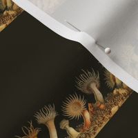 Heritage anemone
