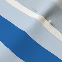 Vertical Cabana Stripe Narrow | Bright Blues