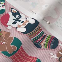 Small scale // Pure love Christmas socks I // aligned // blush pink background Dachshund Beagle Dalmatian Basset Hound Jack Russel Labrador Retriever Husky Welsh Corgi Italian Greyhound and Poodle dog puppies