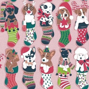 Small scale // Pure love Christmas socks I // aligned // blush pink background Dachshund Beagle Dalmatian Basset Hound Jack Russel Labrador Retriever Husky Welsh Corgi Italian Greyhound and Poodle dog puppies