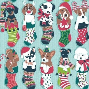 Small scale // Pure love Christmas socks I // aligned // aqua background Dachshund Beagle Dalmatian Basset Hound Jack Russel Labrador Retriever Husky Welsh Corgi Italian Greyhound and Poodle dog puppies