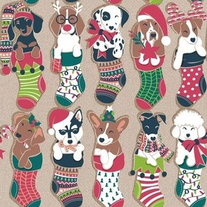 Small scale // Pure love Christmas socks I // aligned // ocre background Dachshund Beagle Dalmatian Basset Hound Jack Russel Labrador Retriever Husky Welsh Corgi Italian Greyhound and Poodle dog puppies
