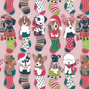 Normal scale // Pure love Christmas socks I // aligned // blush pink background Dachshund Beagle Dalmatian Basset Hound Jack Russel Labrador Retriever Husky Welsh Corgi Italian Greyhound and Poodle dog puppies