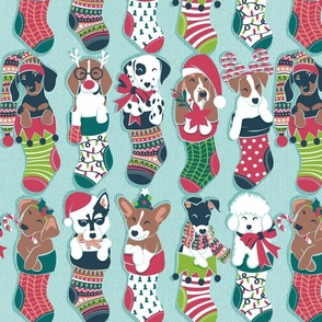 Normal scale // Pure love Christmas socks I // aligned // aqua background Dachshund Beagle Dalmatian Basset Hound Jack Russel Labrador Retriever Husky Welsh Corgi Italian Greyhound and Poodle dog puppies