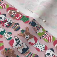 Tiny scale // Pure love Christmas socks I // aligned // blush pink background Dachshund Beagle Dalmatian Basset Hound Jack Russel Labrador Retriever Husky Welsh Corgi Italian Greyhound and Poodle dog puppies