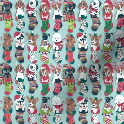 Tiny scale // Pure love Christmas socks I // aligned // aqua background Dachshund Beagle Dalmatian Basset Hound Jack Russel Labrador Retriever Husky Welsh Corgi Italian Greyhound and Poodle dog puppies