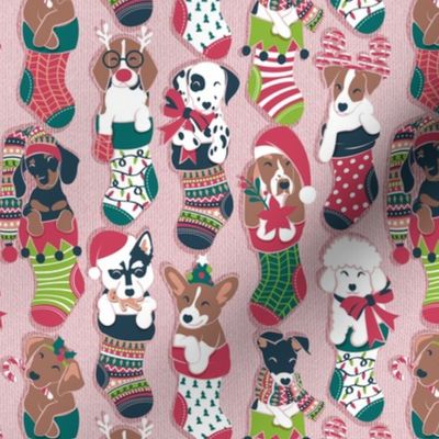 Small scale // Pure love Christmas socks II // not aligned // blush pink background Dachshund Beagle Dalmatian Basset Hound Jack Russel Labrador Retriever Husky Welsh Corgi Italian Greyhound and Poodle dog puppies