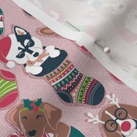 Small scale // Pure love Christmas socks II // not aligned // blush pink background Dachshund Beagle Dalmatian Basset Hound Jack Russel Labrador Retriever Husky Welsh Corgi Italian Greyhound and Poodle dog puppies