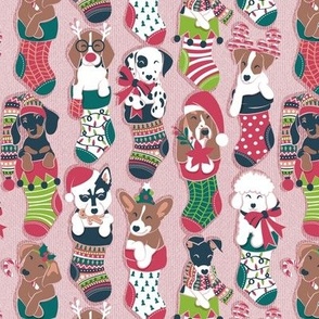 Small scale // Pure love Christmas socks II // not aligned // blush pink background Dachshund Beagle Dalmatian Basset Hound Jack Russel Labrador Retriever Husky Welsh Corgi Italian Greyhound and Poodle dog puppies