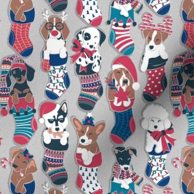 Small scale // Pure love Christmas socks II // not aligned // beige background Dachshund Beagle Dalmatian Basset Hound Jack Russel Labrador Retriever Husky Welsh Corgi Italian Greyhound and Poodle dog puppies