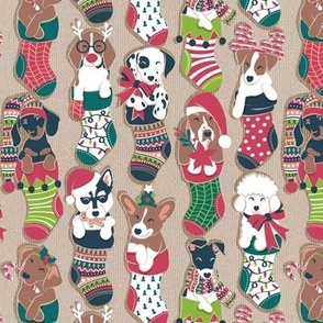 Small scale // Pure love Christmas socks II // not aligned // ocre background Dachshund Beagle Dalmatian Basset Hound Jack Russel Labrador Retriever Husky Welsh Corgi Italian Greyhound and Poodle dog puppies