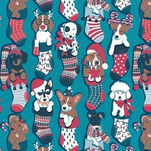Small scale // Pure love Christmas socks II // not aligned // turquoise background Dachshund Beagle Dalmatian Basset Hound Jack Russel Labrador Retriever Husky Welsh Corgi Italian Greyhound and Poodle dog puppies