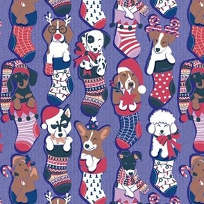 Small scale // Pure love Christmas socks II // not aligned // very peri background Dachshund Beagle Dalmatian Basset Hound Jack Russel Labrador Retriever Husky Welsh Corgi Italian Greyhound and Poodle dog puppies