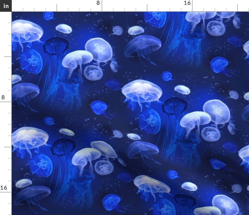 Jellyfish