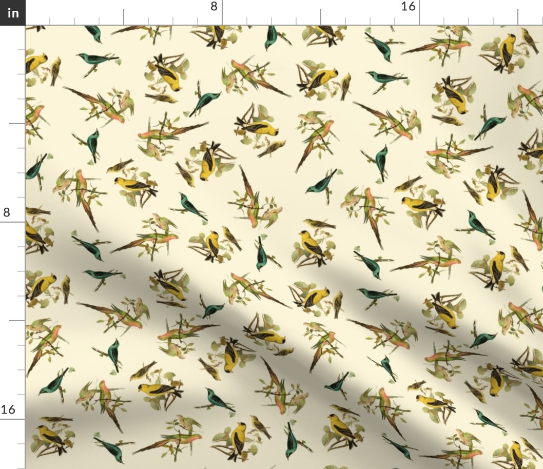 Scientific Illustration Birds Fabric with cream background